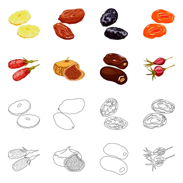 Vektordesign von Lebensmitteln und rohen Symbolen. Abbildung der Nahrungsmittel- und Naturvorräte. — Stockvektor