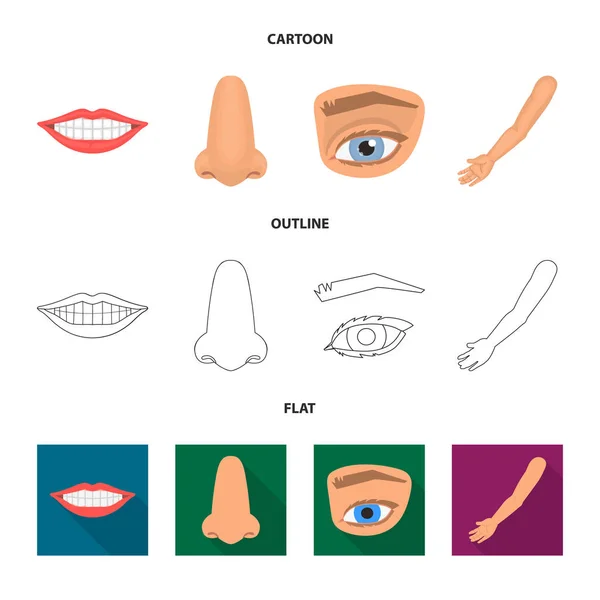 Objeto isolado de corpo e símbolo de parte. Coleção de corpo e anatomia vetor ícone para estoque . — Vetor de Stock