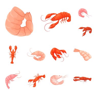 Karides ve yengeç simge vektör tasarımı. Karides ve deniz hisse senedi vektör çizim topluluğu.