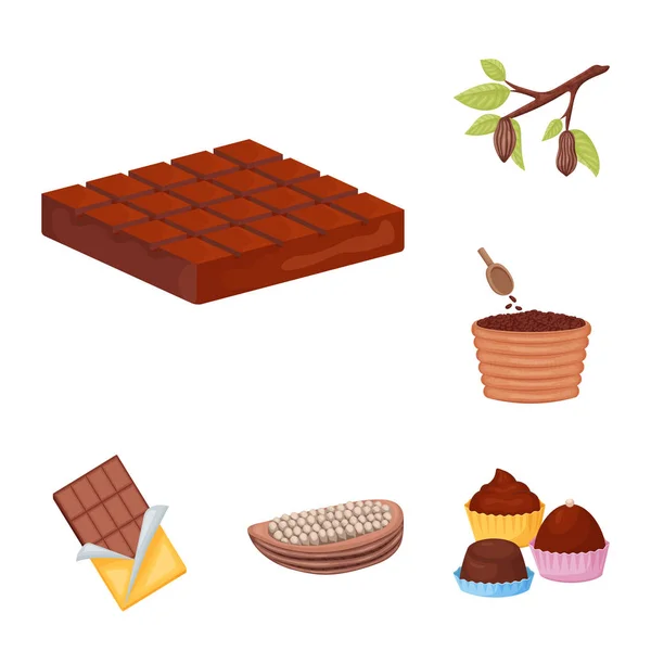Objeto aislado del logotipo de cacao y frijoles. Colección de cacao y dulzura stock vector ilustración . — Vector de stock