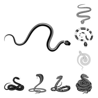 Zarar illüstrasyon vektör ve işareti ısır. Web için zarar ve sürüngen hisse senedi simgesi kümesi.