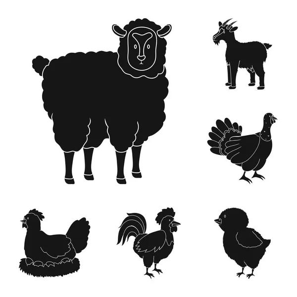 Vektorillustration von Ranch und Bio-Logo. Sammlung von Ranch- und Food-Inventar-Illustrationen. — Stockvektor