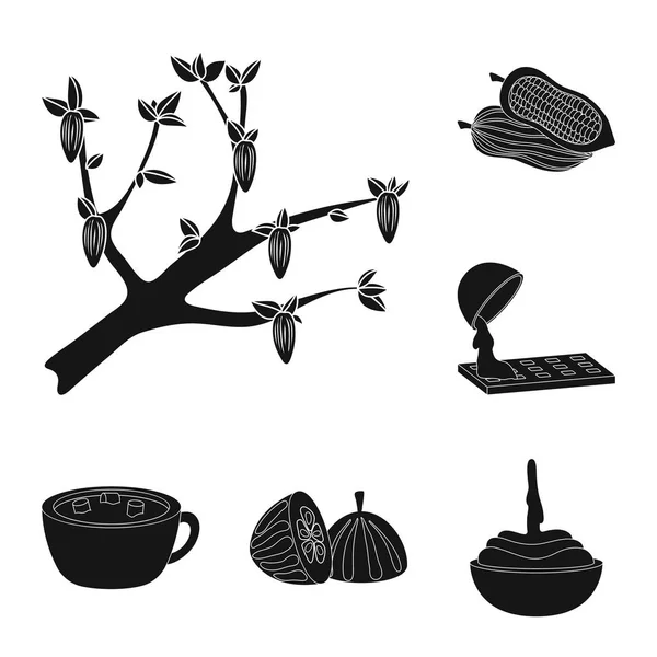 Ilustración vectorial de cocina y símbolo marrón. Conjunto de cocina y frijoles icono vectorial para stock . — Vector de stock