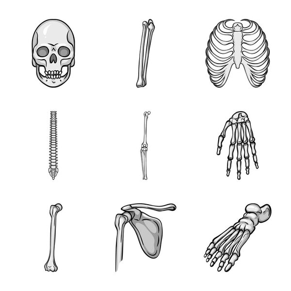 Векторный дизайн логотипа биологии и медицины. Коллекция символов биологии и скелета для веб-сайтов
.