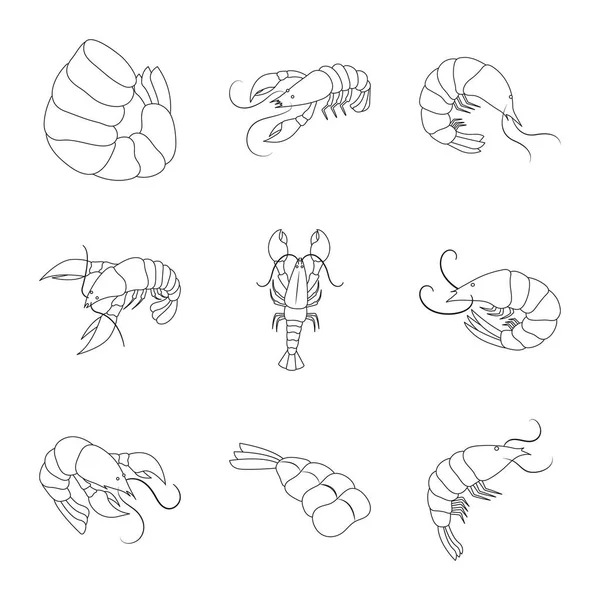 Élelmiszer- és tengeri logó vektoros illusztráció. Élelmiszer és állat vektor ikon készletek. — Stock Vector