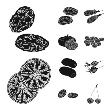 Vitamin ve doğa simge vektör Illustration. Vitamin ve web için kurutulmuş hisse senedi simgesi toplama.