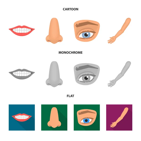 Objeto isolado de corpo e ícone de parte. Conjunto de corpo e anatomia vetor ícone para estoque . — Vetor de Stock