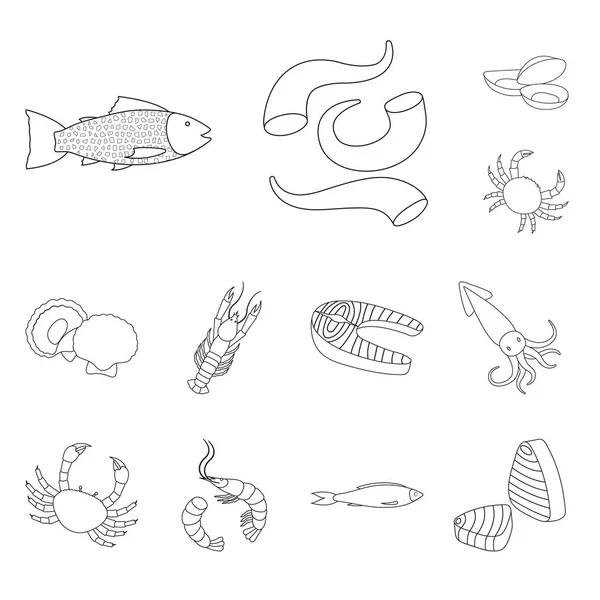 Векторный дизайн пищевых продуктов и морского логотипа. Коллекция пищевых продуктов и здорового символа запасов для сети . — стоковый вектор