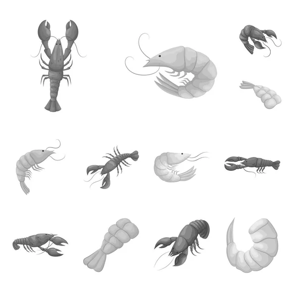 Vektorillustration av krabba och förrätt tecken. Uppsättning av krabba och havet vektor ikonen för lager. — Stock vektor