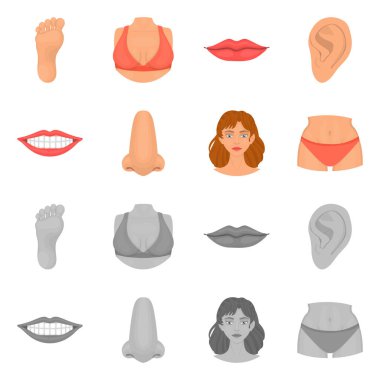 Vücut ve bölümü logo vektör Illustration. Vücut ve anatomi hisse senedi simgesi için web topluluğu.