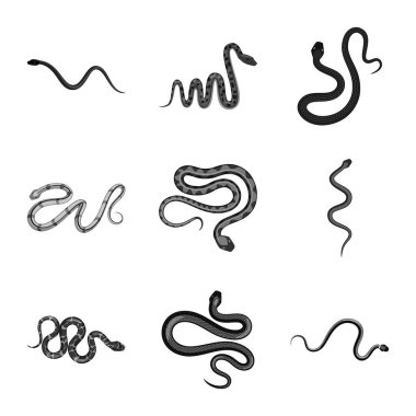 Zarar illüstrasyon vektör ve logo ısır. Zarar ve sürüngen hisse senedi simgesi için web topluluğu.