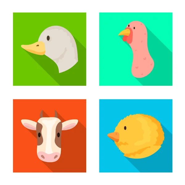 Vector design of agriculture and breeding icon. Set of agriculture and organic  vector icon for stock. — Stock Vector