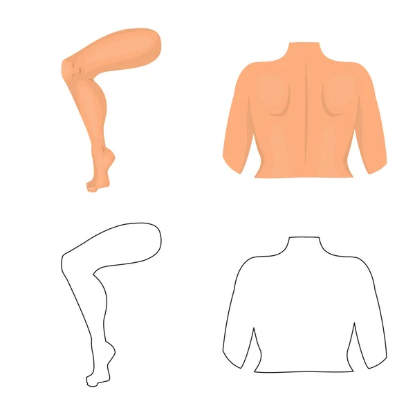 Geïsoleerde object van lichaam en deel pictogram. Set van lichaam en anatomie voorraad vectorillustratie. — Stockvector