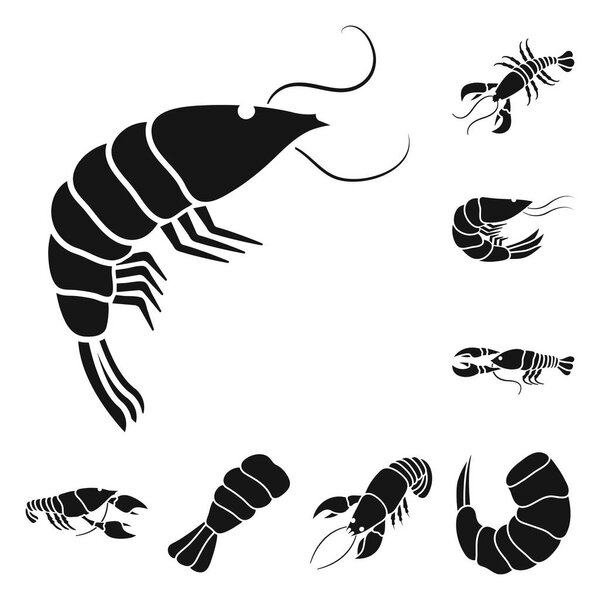 Векторный дизайн мясного и деликатного логотипа. Коллекция мясного и крабного инвентаря
.