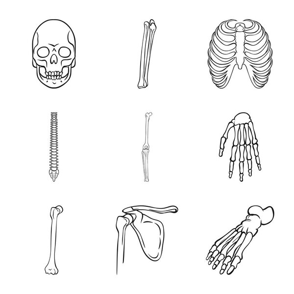 Изолированный объект медицины и знак клиники. Коллекция лекарственных средств и медицинского инвентаря
.