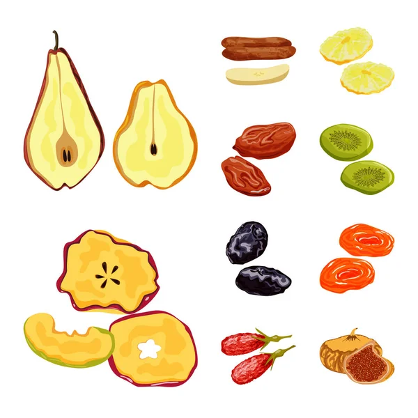 Diseño vectorial de fruta e icono seco. Conjunto de frutas y alimentos vector icono para stock . — Vector de stock