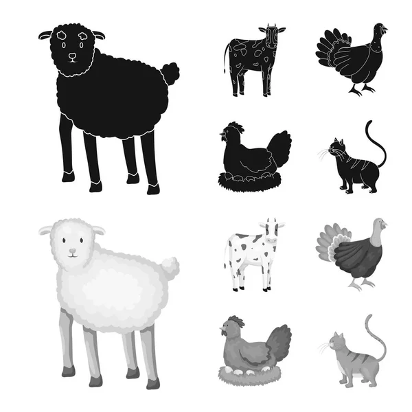 Ilustración vectorial del icono de la cría y la cocina. Colección de crianza y vector orgánico icono para stock . — Vector de stock