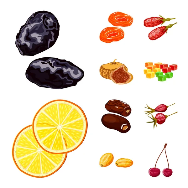 Diseño vectorial de fruta y signo seco. Colección de frutas y alimentos vector ilustración . — Vector de stock