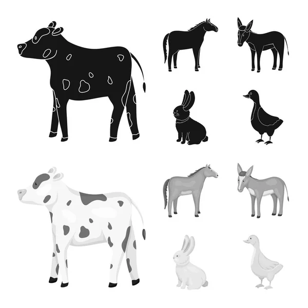 Na białym tle obiekt symbolu hodowli i kuchnia. Zestaw z hodowli i organiczne wektor ikona na magazynie. — Wektor stockowy