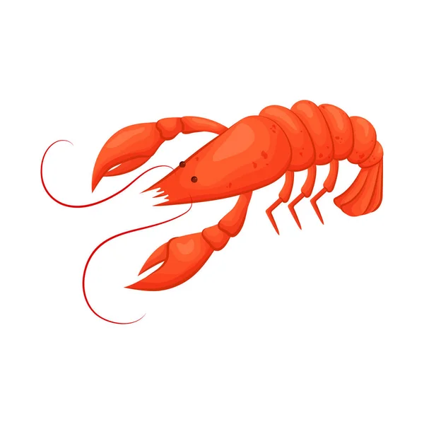 Objek lobster terisolasi dan simbol merah. Set lobster dan stok segar simbol untuk web . - Stok Vektor