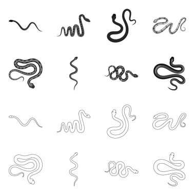 Mammal ve tehlike simge vektör tasarımı. Memeli ve tıp hisse senedi simgesi web için kümesi.