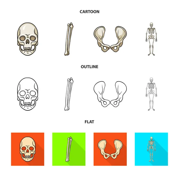 Objeto isolado da medicina e símbolo da clínica. Jogo de medicina e símbolo de estoque médico de web . —  Vetores de Stock