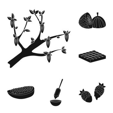 Vektör tasarım yemek ve kahverengi sembolü. Yemek ayarla ve fasulye web için sembol stok.