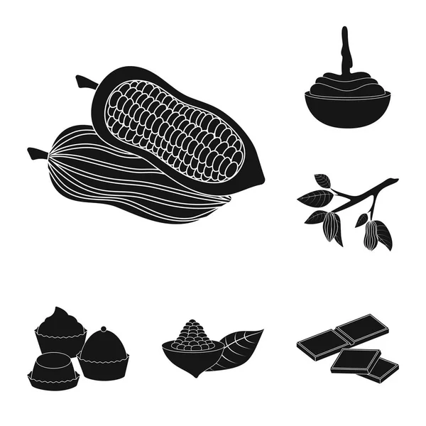 Objeto aislado de cocina e icono marrón. Colección de cocina y frijoles vector de la ilustración . — Vector de stock