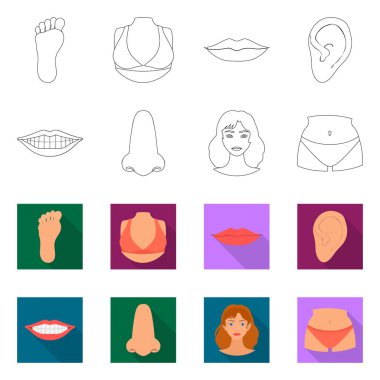 Vücut ve bölümü simge vektör tasarımı. Web için vücut ve anatomi hisse senedi simgesi kümesi.