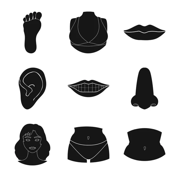 Векторний дизайн кузова та логотипу частини. Набір символів тіла і анатомії для Інтернету . — стоковий вектор