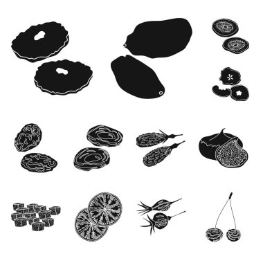 Vitamin ve doğa sembolü yalıtılmış nesne. Vitamin ve hisse senedi için kurutulmuş vektör simge kümesi.