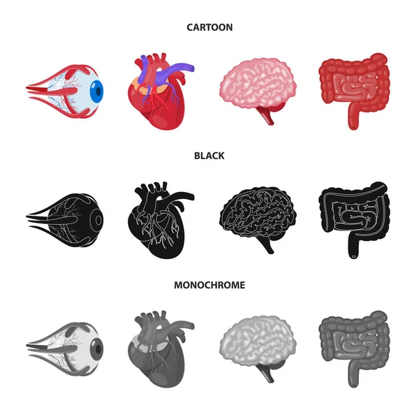 Diseño vectorial de biología y logotipo científico. Colección de biología y símbolo de stock de laboratorio para web . — Vector de stock