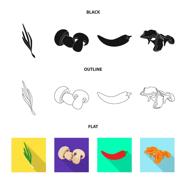 Ізольований об'єкт смаку та значка продукту. Збірка смаку та кулінарного запасу Векторні ілюстрації . — стоковий вектор