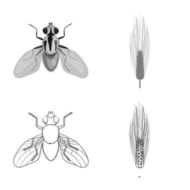 Tarım ve tarım simge vektör tasarımı. Tarım ve bitki hisse senedi simgesi için web topluluğu.