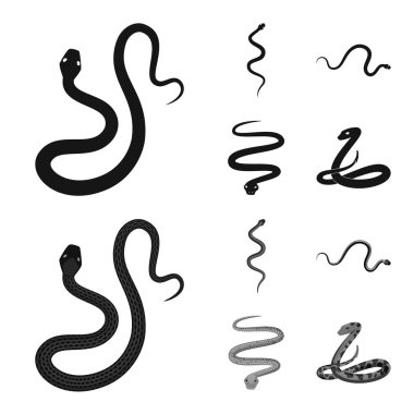 Memeli ve tehlike simgesi yalıtılmış nesne. Memeli ve tıp hisse senedi simgesi web için kümesi.