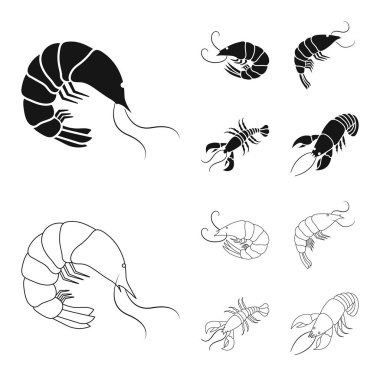 Meze ve okyanus simge vektör tasarımı. Meze dizi ve hisse senedi için incelik vektör simgesi.