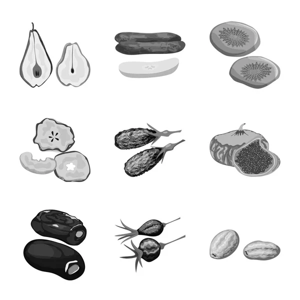 Векторная иллюстрация витамина и природной иконы. Сбор витаминных и сухих векторных иллюстраций . — стоковый вектор