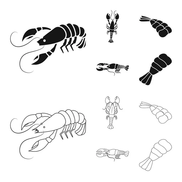 Illustration vectorielle de l'apéritif et symbole de l'océan. Collection d'amuse-gueule et de délicatesse symbole stock pour le web . — Image vectorielle