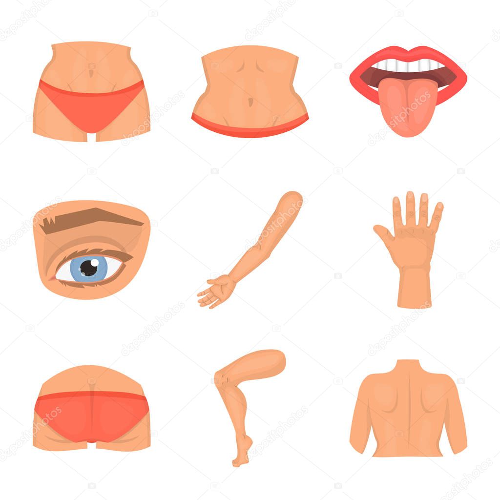Isolated object of body and part symbol. Set of body and anatomy vector icon for stock.