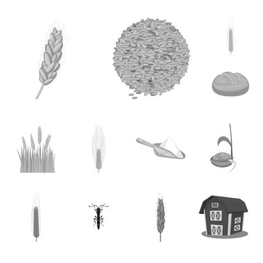 Çavdar ve bitki logo vektör Illustration. Çavdar kümesi ve hisse senedi için Mısır vektör simgesi.