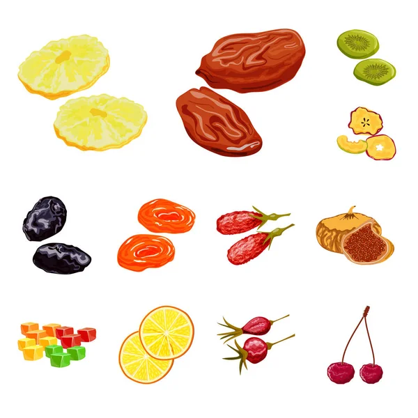 Conception vectorielle de fruits et logo séché. Ensemble d'icône vectorielle de fruits et d'aliments pour stock . — Image vectorielle