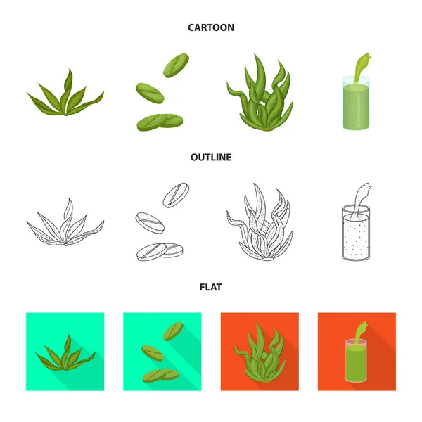 Diseño vectorial de la proteína y el icono del mar. Colección de proteína y vector natural icono para stock . — Vector de stock