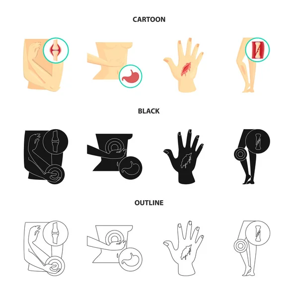 Diseño vectorial de hospital y muestra de renderizado. Conjunto de hospital y ayuda símbolo de stock para la web . — Vector de stock