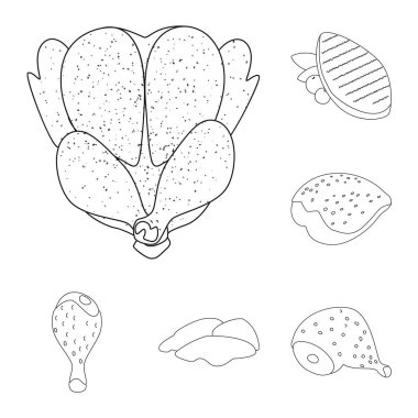 Gıda ve ızgara işareti vektör çizimi. Gıda kümesi ve hisse senedi için kuş vektör simgesi.