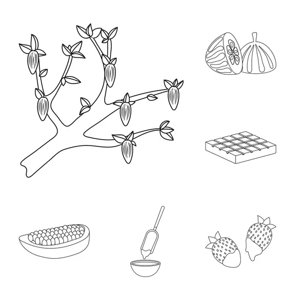 Illustration vectorielle du symbole cacao et haricots. Ensemble d'icône vectorielle cacao et douceur pour stock . — Image vectorielle