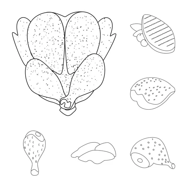 Vektorillustration von Essen und Gegrilltem. Futter- und Vogelvektorsymbole für Vorräte. — Stockvektor