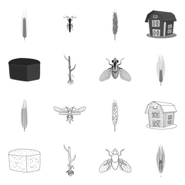 Tarım ve tarım simge vektör tasarımı. Hisse senedi için tarım ve bitki vektör simge kümesi.