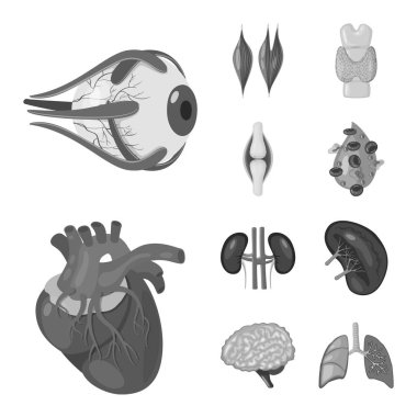 İç ve tıbbi simge yalıtılmış nesne. Sağlık hisse senedi vektör çizim ve iç kümesi.