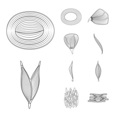 Lif ve kas simge vektör tasarımı. Set elyaf ve vücut hisse senedi vektör çizim.