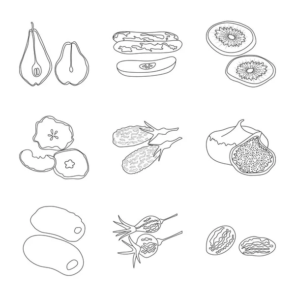 Design vettoriale del cibo e segno grezzo. Set di cibo e natura stock simbolo per il web . — Vettoriale Stock